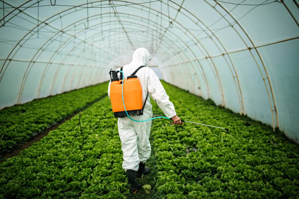 Pest Control Cost in Choteau, MT