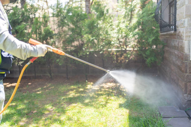 Best Wasp Removal Services  in Choteau, MT