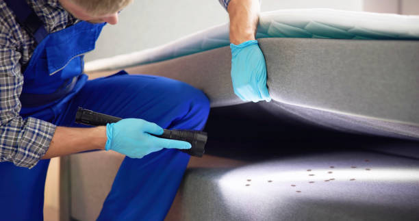 Best Commercial Pest Control Services  in Choteau, MT