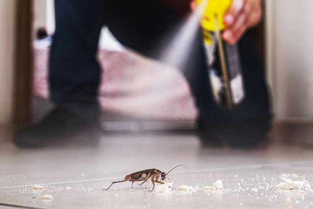 Best Best Pest Control Companies  in Choteau, MT