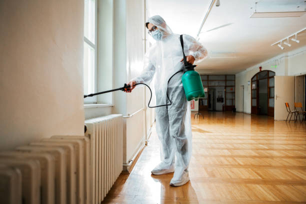 Best Mosquito Control Services  in Choteau, MT