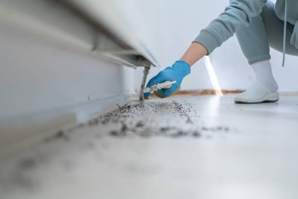 Pest Control for Restaurants in Choteau, MT